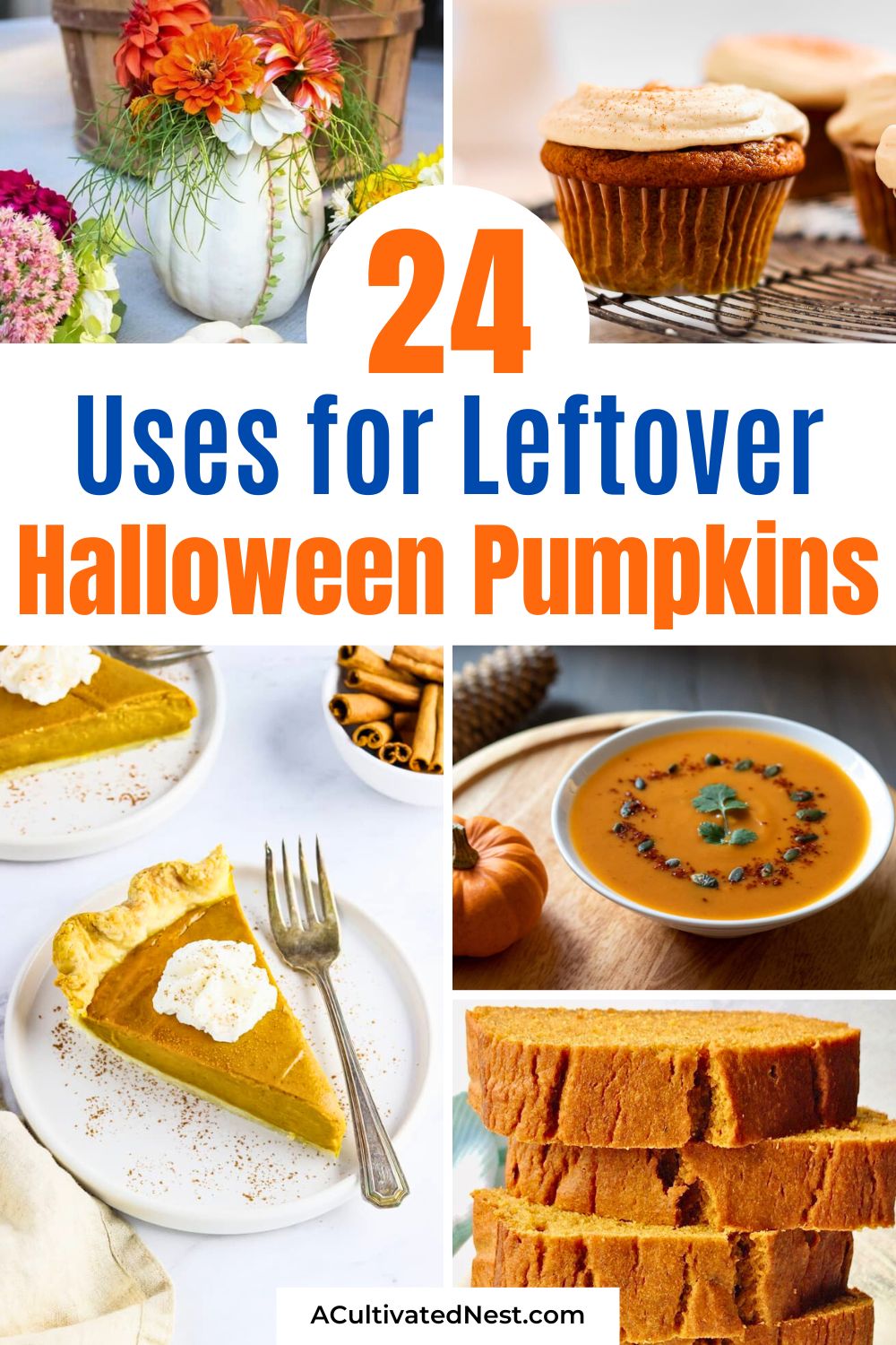 24 Uses for Leftover Halloween Pumpkins- Transform your leftover Halloween pumpkins into something extraordinary with these innovative ideas! Whether you’re in the mood for cooking, baking, or crafting, there’s something for everyone. Save this pin and get inspired! | #FallInspiration #PumpkinRecipes #HalloweenLeftovers #diyIdeas #ACultivatedNest