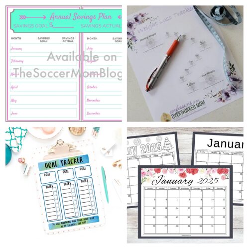 16 Handy New Year's Goal Tracking Printables- Ready to crush your goals in the New Year? Check out these handy New Year’s resolution free printables that will help you stay organized, motivated, and on track! From goal-setting worksheets to SMART goal templates, there’s a printable for everyone. Perfect for kids, families, and busy adults who want to start the year strong! | #NewYearsResolutions #GoalSetting #FreePrintables #goalTracking #ACultivatedNest