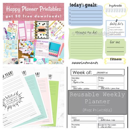 16 Handy New Year's Goal Setting Printables- Ready to crush your goals in the New Year? Check out these handy New Year’s resolution free printables that will help you stay organized, motivated, and on track! From goal-setting worksheets to SMART goal templates, there’s a printable for everyone. Perfect for kids, families, and busy adults who want to start the year strong! | #NewYearsResolutions #GoalSetting #FreePrintables #goalTracking #ACultivatedNest