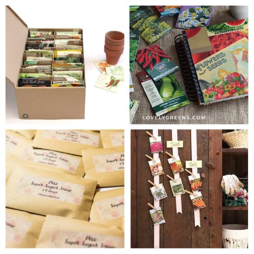 16 Clever Garden Seed Storage Solutions- Is your seed collection getting out of hand? Discover clever and practical ways to organize seeds for gardening! From upcycling household items to creating easy storage solutions, these ideas will keep your seeds neat and ready for planting season. Perfect for any gardening enthusiast! | #gardeningTips #seedOrganization #DIYgardening #gardening #ACultivatedNest