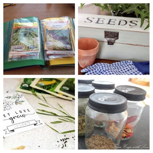 16 Clever Garden Seed Storage Solutions- Is your seed collection getting out of hand? Discover clever and practical ways to organize seeds for gardening! From upcycling household items to creating easy storage solutions, these ideas will keep your seeds neat and ready for planting season. Perfect for any gardening enthusiast! | #gardeningTips #seedOrganization #DIYgardening #gardening #ACultivatedNest