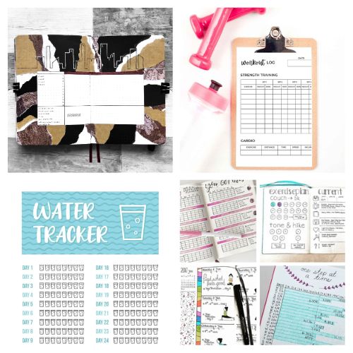 20 Fitness Goal Tracking Free Printables- Crush your health and fitness goals with these free fitness goal tracking printables! Whether you’re looking for bullet journal ideas, habit trackers, or workout planners, these tools will keep you motivated and on track. Perfect for runners, gym-goers, or anyone kickstarting a healthier lifestyle! | #FitnessGoals #BulletJournalIdeas #FitnessPrintables #printables #ACultivatedNest