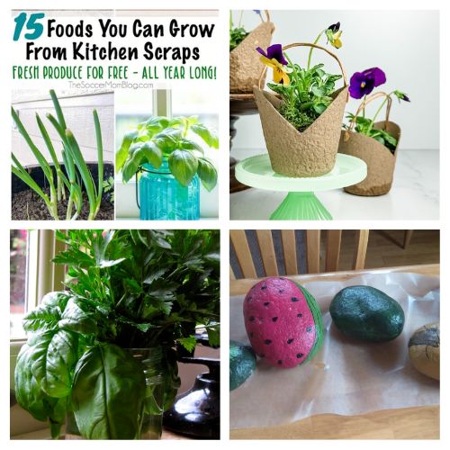 12 Easy Indoor Gardening Projects to Try Before Spring- Looking to bring the outdoors inside? Check out these easy indoor gardening projects! From DIY mini greenhouses to regrowing herbs from scraps, these creative ideas will transform your indoor space into a lush garden oasis. Perfect for beginners and plant lovers alike! | #IndoorGardening #GardeningTips #DIYProjects #SpringPrep #ACultivatedNest