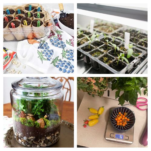 12 Easy Indoor Garden Projects to Try Before Spring- Looking to bring the outdoors inside? Check out these easy indoor gardening projects! From DIY mini greenhouses to regrowing herbs from scraps, these creative ideas will transform your indoor space into a lush garden oasis. Perfect for beginners and plant lovers alike! | #IndoorGardening #GardeningTips #DIYProjects #SpringPrep #ACultivatedNest