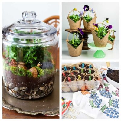 12 Easy Indoor Gardening Projects to Try Before Spring