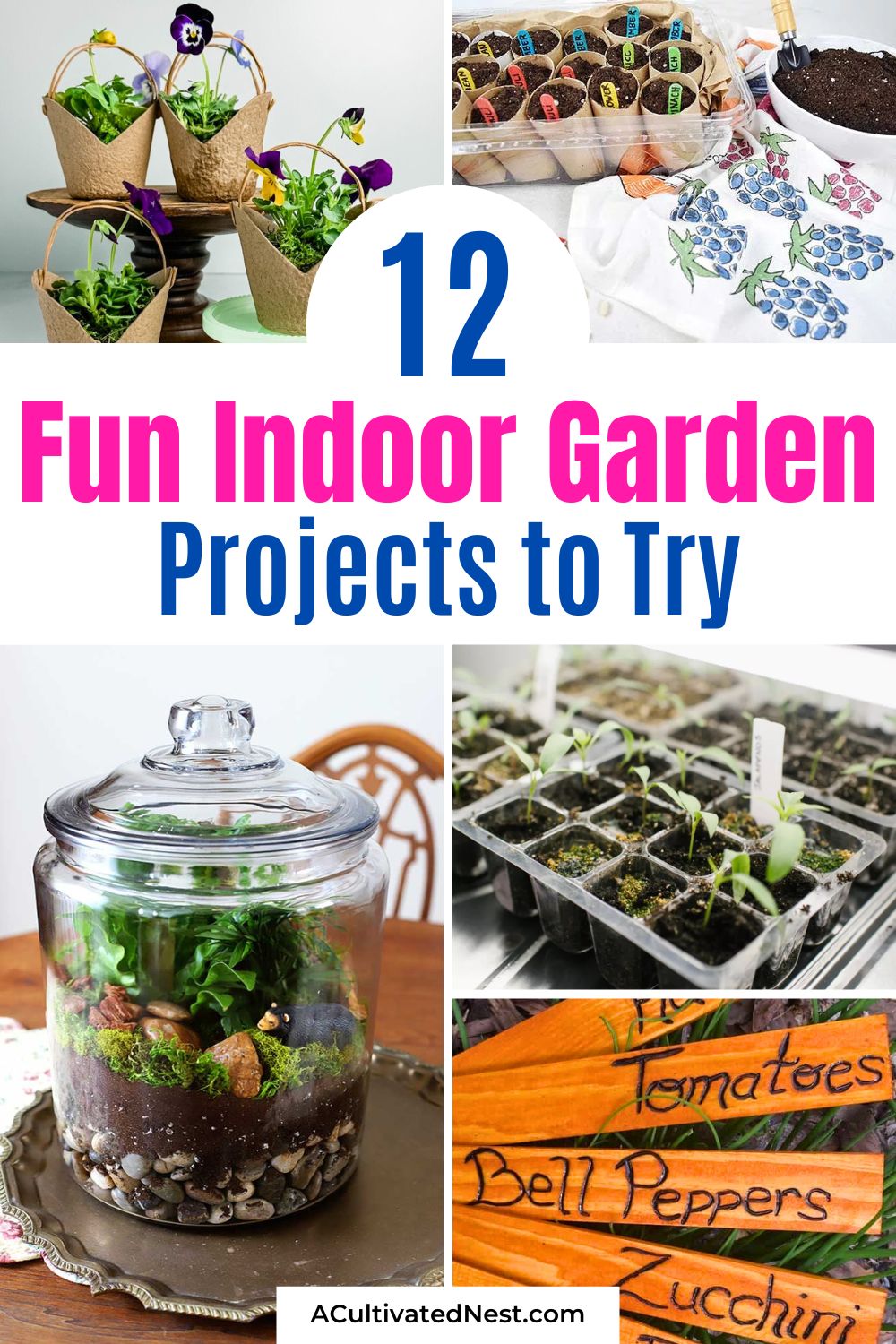 12 Easy Indoor Gardening Projects to Try Before Spring- Tired of waiting for warmer weather? Start your gardening journey early with these easy indoor gardening projects! Learn to regrow kitchen scraps, build a mini greenhouse, propagate plants, and so much more. Perfect for sprucing up your home and bringing spring vibes indoors! | #IndoorPlants #GardeningHacks #DIYGardening #GreenThumb #ACultivatedNest