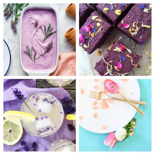 16 Delectable Edible Flower Dessert Recipes for Summer- Elevate your summer entertaining with these 16 edible flower recipes! From stunning desserts and pretty drinks to fresh salads, this roundup is your go-to for adding color and flavor to your seasonal table. Discover creative ways to use blossoms like lavender, pansies, and chive flowers in both sweet and savory dishes. Get inspired and make your next garden party unforgettable!