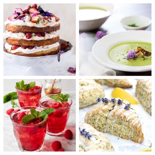 16 Delectable Edible Flower Recipes for Summer Entertaining- Elevate your summer entertaining with these 16 edible flower recipes! From stunning desserts and pretty drinks to fresh salads, this roundup is your go-to for adding color and flavor to your seasonal table. Discover creative ways to use blossoms like lavender, pansies, and chive flowers in both sweet and savory dishes. Get inspired and make your next garden party unforgettable!