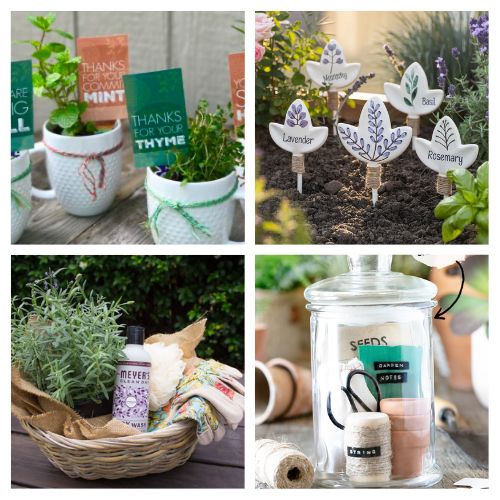 20 DIY Mother's Day Gifts for Moms that Garden- Looking for the perfect handmade gift for a mom who loves gardening? Discover creative, easy-to-make DIY garden-themed gifts! From cute flower pots and unique plant markers to luxurious dandelion salves and upcycled garden projects, you'll find inspiration for every plant-loving mom. Get crafty and make her Mother's Day extra special with these thoughtful ideas! | #GardenGifts #HandmadeMothersDay #DIYGarden #MothersDayGift #ACultivatedNest
