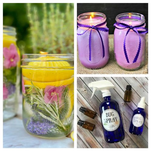 24 DIY Citronella Candles & Bug Repellents for Out of doors Dwelling