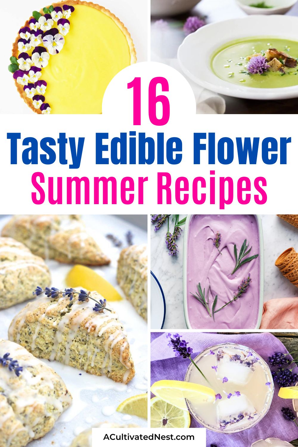 16 Delectable Edible Flower Recipes for Summer Entertaining- Want to impress your guests this summer? Try these easy and beautiful edible flower recipes! Featuring cakes, cocktails, salads, and more, each recipe uses real, safe-to-eat blooms for a gorgeous, delicious twist. Perfect for weddings, brunches, showers, or any celebration. Click through to find out how to add a floral touch to your menu!