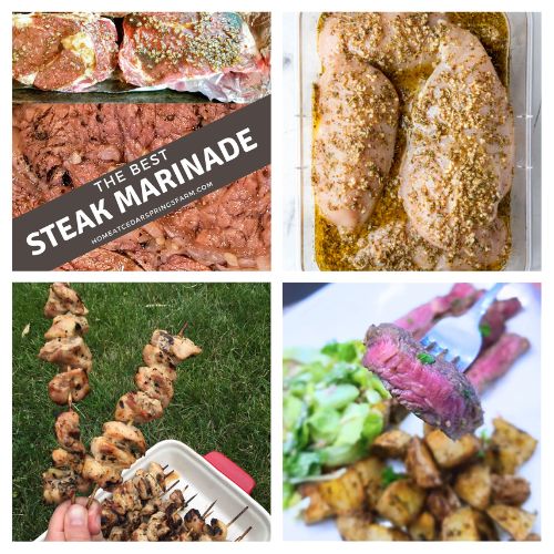 36 Easy Marinade Recipes for Budget-Friendly Cuts of Meat- Elevate your backyard BBQ and make every cut of meat taste gourmet! Discover easy marinade recipes perfect for tenderizing and transforming budget-friendly cuts into summer grilling sensations. From classic steak to juicy chicken and flavorful seafood, these simple marinades are your go-to for mouthwatering results. | #GrillingRecipes #EasyRecipes #BBQIdeas #Marinades #ACultivatedNest