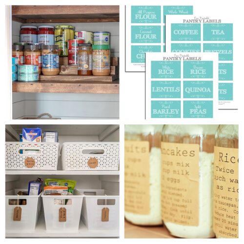 16 Clever Ways to Organize Your Pantry to Prepare for Fall and Winter- Stocked up for winter and need to organize your pantry on a budget? Check out these frugal and clever ways to keep your pantry neat, accessible, and ready for all your cold-weather cooking. Simple DIY tips and smart storage solutions will save you time, space, and money all season long! | #PantryOrganization #OrganizingTips #HomeOrganization #PantryGoals #ACultivatedNest