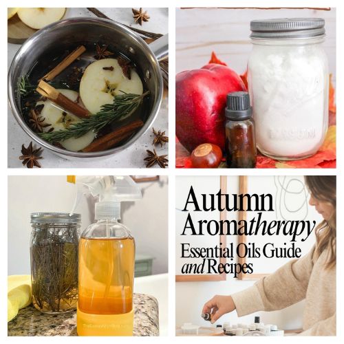 16 Quick Scent Hacks to Make Your Home Smell Cozy for Fall- Transform your home into a cozy autumn retreat with these quick scent hacks! From DIY simmer pots to natural essential oil blends and fall-inspired room sprays, you'll love how easy it is to make your house smell amazing all season long. Create inviting, long-lasting fall fragrances for every room! | #FallScents #CozyHome #HomeHacks #EssentialOils #ACultivatedNest