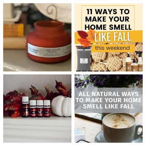 16 Quick DIY Fall Scent Hacks- Transform your home into a cozy autumn retreat with these quick scent hacks! From DIY simmer pots to natural essential oil blends and fall-inspired room sprays, you'll love how easy it is to make your house smell amazing all season long. Create inviting, long-lasting fall fragrances for every room! | #FallScents #CozyHome #HomeHacks #EssentialOils #ACultivatedNest
