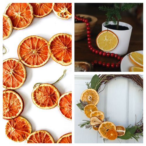 16 Ways to Use Dried Orange Slices for Fall and Winter Decor- Looking for creative ways to decorate your home this fall and winter? Discover beautiful and easy ideas for using dried orange slices in garlands, wreaths, ornaments, and more! These natural DIY projects will fill your space with cozy, festive charm. Find inspiration and step-by-step tutorials for every style! | #DriedOranges #FallDecor #WinterDecor #HolidayDIY #ACultivatedNest 16 Ways to Use Dried Orange Slices for Fall and Winter Decor- Looking for creative ways to decorate your home this fall and winter? Discover beautiful and easy ideas for using dried orange slices in garlands, wreaths, ornaments, and more! These natural DIY projects will fill your space with cozy, festive charm. Find inspiration and step-by-step tutorials for every style! | #DriedOranges #FallDecor #WinterDecor #HolidayDIY #ACultivatedNest