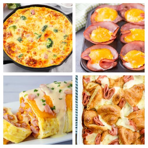16 Savory Ham Breakfast Recipes- Wondering what to do with that leftover holiday ham? These recipes are the perfect way to use up every slice. These savory breakfast ideas are guaranteed crowd-pleasers. Stop searching for "leftover ham recipes" and start cooking! | #HolidayLeftovers #HamRecipes #BreakfastIdeas #SavoryBreakfast #ACultivatedNest