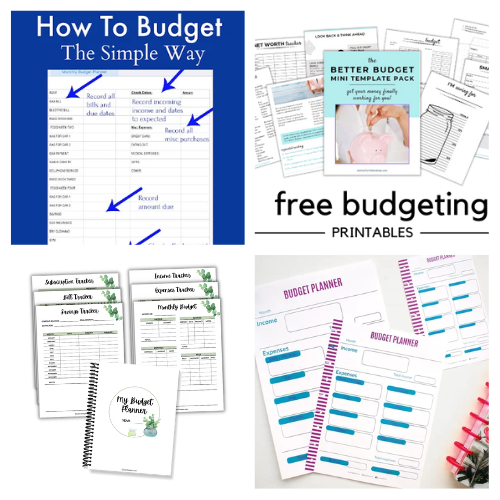 16 New Year's Budget Planner Free Printables- Ready to get your finances in order this New Year? Grab these budget planning and tracking printables to help you set realistic goals, track spending, and stay motivated all year long. Perfect for beginners and budget pros alike! | #Budgeting #NewYearsResolution #freePrintable #personalFinance #ACultivatedNest