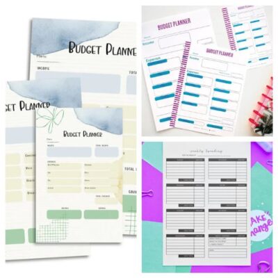 16 New Year's Budget Planning and Tracking Printables