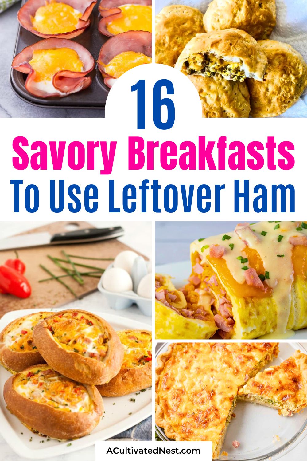 16 Savory Breakfast Recipes That Use Up Holiday Ham- Don't let that delicious holiday ham go to waste! Transform your leftovers into incredible savory breakfasts. Which one will you try first? | #LeftoverHam #BreakfastCasserole #HolidayFood #RecipeInspiration #ACultivatedNest