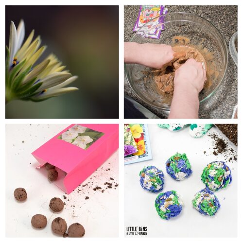 16 Homemade Seed Bombs for Your Garden- Want to add a burst of color to your garden or help the pollinators in your area? Check out these easy DIY seed bomb projects! Perfect for beginners and kids, these creative tutorials show you how to make and plant seed bombs anywhere,no green thumb required. Give your yard, sidewalk, or empty lot a wildflower makeover with simple ingredients you can find at home. | #SeedBombs #DIYGarden #Wildflowers #GardenProjects #ACultivatedNest