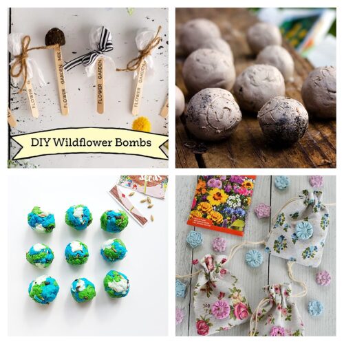 16 Homemade Seed Bombs for Your Garden- Want to add a burst of color to your garden or help the pollinators in your area? Check out these easy DIY seed bomb projects! Perfect for beginners and kids, these creative tutorials show you how to make and plant seed bombs anywhere,no green thumb required. Give your yard, sidewalk, or empty lot a wildflower makeover with simple ingredients you can find at home. | #SeedBombs #DIYGarden #Wildflowers #GardenProjects #ACultivatedNest