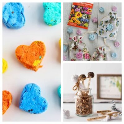 16 Easy DIY Seed Bombs for Your Garden