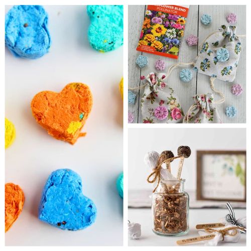 16 Easy DIY Seed Bombs for Your Garden- Want to add a burst of color to your garden or help the pollinators in your area? Check out these easy DIY seed bomb projects! Perfect for beginners and kids, these creative tutorials show you how to make and plant seed bombs anywhere,no green thumb required. Give your yard, sidewalk, or empty lot a wildflower makeover with simple ingredients you can find at home. | #SeedBombs #DIYGarden #Wildflowers #GardenProjects #ACultivatedNest