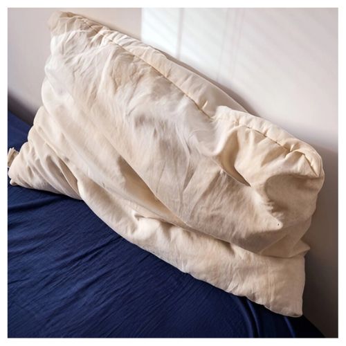 10 Creative Ideas to Repurpose Old Pillows and Pillowcases- Don’t throw away those flat, old pillows!Discover genius ways to upcycle old bed pillows into cozy pet beds, plush floor cushions, and even garden kneelers. These budget-friendly DIY projects give your tired bedding a second life while saving you money on home decor and pet supplies. Perfect for a quick weekend project! | #UpcycledHome #OldPillowHacks #DIYPetBed #FrugalLiving #DIYProjects #ACultivatedNest