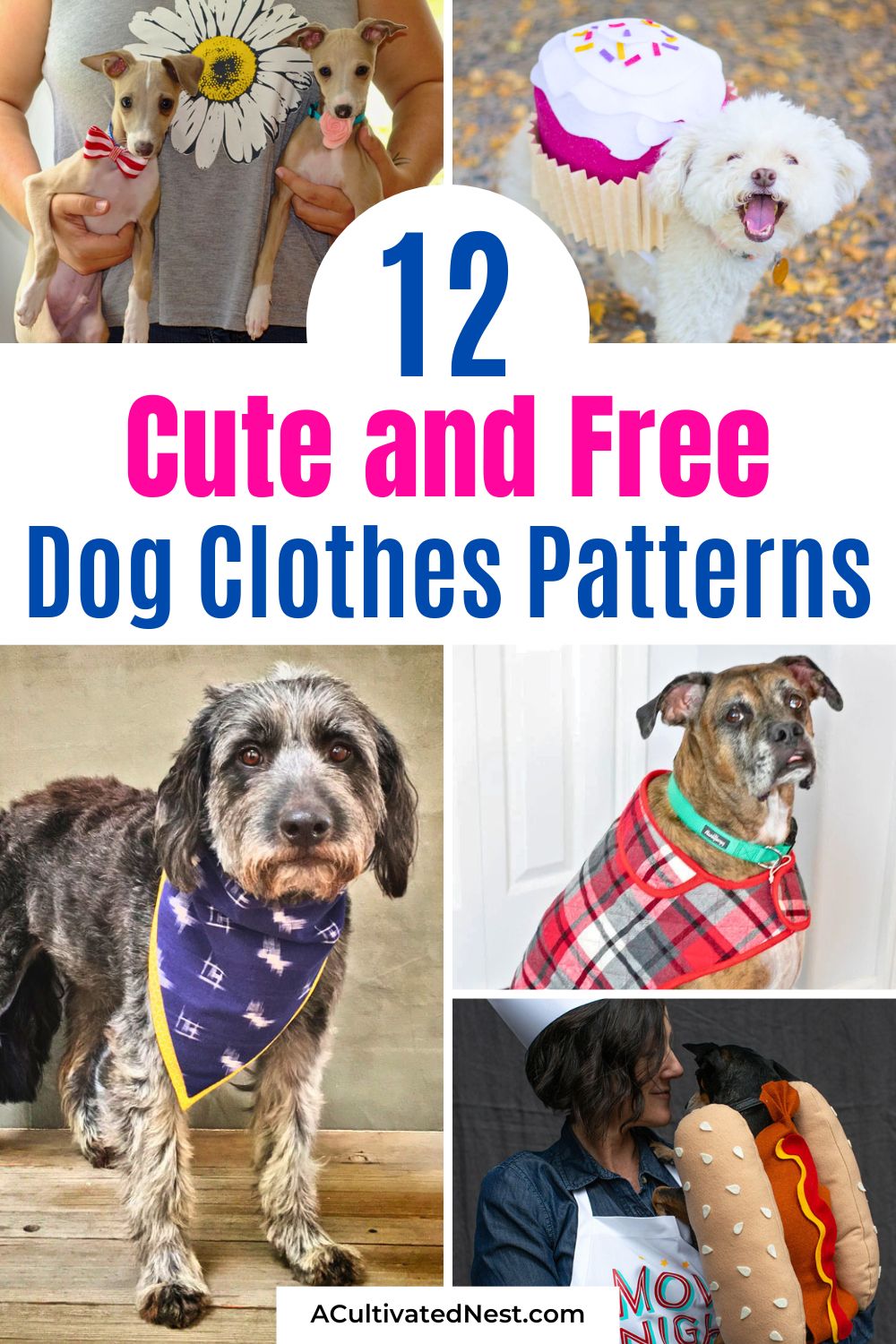 12 Cute Free Dog Clothes Sewing Patterns- Looking for a fun weekend project? Sew something special for your four-legged best friend with these cute and free dog clothes patterns! From cozy sweaters to stylish bandanas, these beginner-friendly designs make it easy to dress your pup in handmade style. They also make wonderful DIY gifts for the fellow dog lovers in your life. | #DogSewing #HandmadePet #DIYPetClothes #FreePatterns #ACultivatedNest 12 Cute Free Dog Clothes Sewing Patterns- Looking for a fun weekend project? Sew something special for your four-legged best friend with these cute and free dog clothes patterns! From cozy sweaters to stylish bandanas, these beginner-friendly designs make it easy to dress your pup in handmade style. They also make wonderful DIY gifts for the fellow dog lovers in your life. | #DogSewing #HandmadePet #DIYPetClothes #FreePatterns #ACultivatedNest