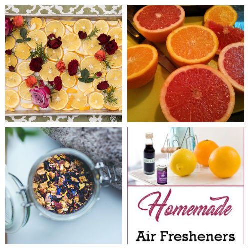 16 Delightful DIY Citrus & Spice Air Fresheners- Say goodbye to synthetic chemical sprays and costly plug-ins! Make your entire home smell warm, cozy, and incredibly inviting with these natural DIY air fresheners. This frugal guide shows you how to turn everyday kitchen scraps like orange, lemon, and grapefruit peels into powerful, non-toxic room deodorizers, dried potpourri, and soothing simmer pots! | #DIYAirFreshener #NaturalHomeScents #NonToxicLiving #FrugalLiving #ACultivatedNest