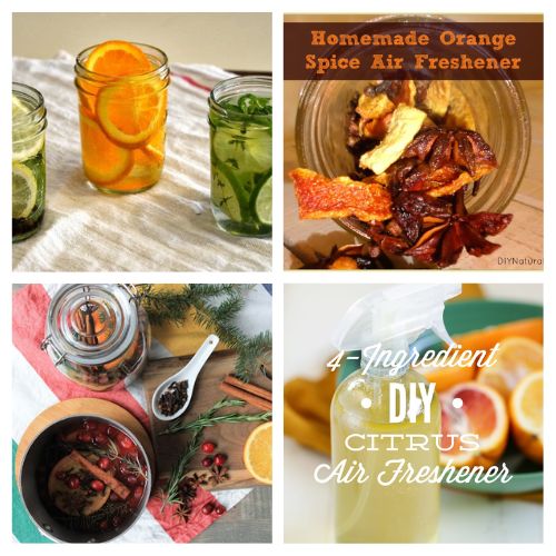 16 Delightful DIY Air Fresheners from Citrus- Say goodbye to synthetic chemical sprays and costly plug-ins! Make your entire home smell warm, cozy, and incredibly inviting with these natural DIY air fresheners. This frugal guide shows you how to turn everyday kitchen scraps like orange, lemon, and grapefruit peels into powerful, non-toxic room deodorizers, dried potpourri, and soothing simmer pots! | #DIYAirFreshener #NaturalHomeScents #NonToxicLiving #FrugalLiving #ACultivatedNest