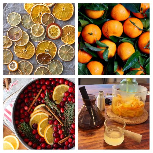 16 Delightful DIY Air Fresheners from Citrus- Say goodbye to synthetic chemical sprays and costly plug-ins! Make your entire home smell warm, cozy, and incredibly inviting with these natural DIY air fresheners. This frugal guide shows you how to turn everyday kitchen scraps like orange, lemon, and grapefruit peels into powerful, non-toxic room deodorizers, dried potpourri, and soothing simmer pots! | #DIYAirFreshener #NaturalHomeScents #NonToxicLiving #FrugalLiving #ACultivatedNest