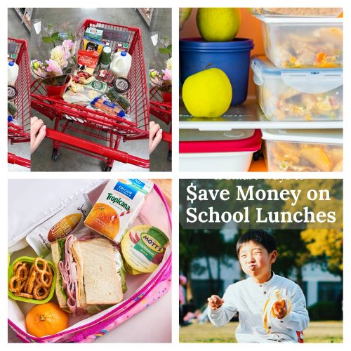 16 Frugal Hacks for Saving Money on School Lunches- Packing school lunches doesn't have to break the bank! Discover frugal lunch hacks that will help you save money on groceries while sending your kids off with tasty, satisfying meals. Learn simple trick for meal prep, DIY bulk snacks, and clever ways to repurpose dinner leftovers into fun lunch box favorites. | #SchoolLunchIdeas #SaveMoneyOnGroceries #LunchBoxIdeas #BackToSchool #ACultivatedNest