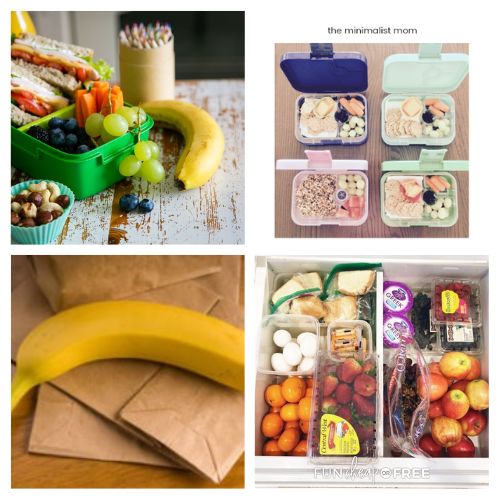 16 Ways to Save Money on School Lunches- Packing school lunches doesn't have to break the bank! Discover frugal lunch hacks that will help you save money on groceries while sending your kids off with tasty, satisfying meals. Learn simple trick for meal prep, DIY bulk snacks, and clever ways to repurpose dinner leftovers into fun lunch box favorites. | #SchoolLunchIdeas #SaveMoneyOnGroceries #LunchBoxIdeas #BackToSchool #ACultivatedNest
