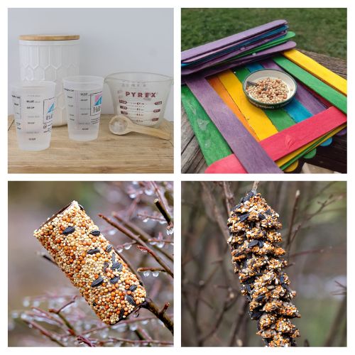 28 DIY Bird Feeders & Baths to Help Wildlife During Cold Months- Help your local backyard birds this season! As natural food sources become scarce in fall and winter, these easy DIY bird feeders and water stations provide essential nutrients and hydration to keep wildlife thriving. Click through for budget-friendly, family-friendly craft ideas to turn your yard into a winter wildlife refuge! | #DIYBirdFeeder #BackyardBirds #BirdWatching #FallCrafts #ACultivatedNest