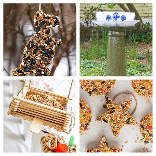 28 Homemade Bird Feeders & Bird Baths for Cold Weather- Help your local backyard birds this season! As natural food sources become scarce in fall and winter, these easy DIY bird feeders and water stations provide essential nutrients and hydration to keep wildlife thriving. Click through for budget-friendly, family-friendly craft ideas to turn your yard into a winter wildlife refuge! | #DIYBirdFeeder #BackyardBirds #BirdWatching #FallCrafts #ACultivatedNest