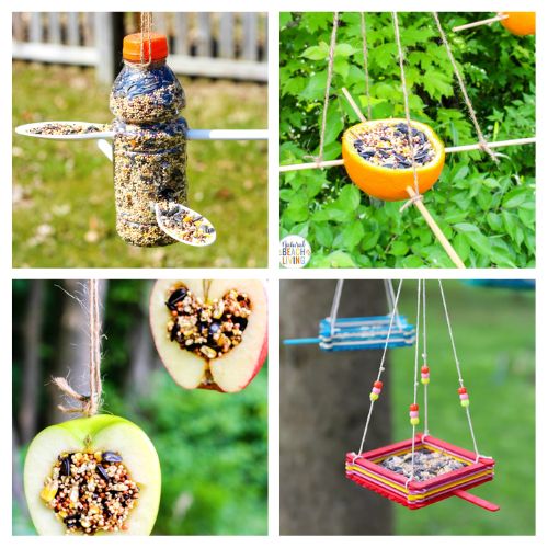28 Homemade Bird Feeders & Bird Baths for Cold Weather- Help your local backyard birds this season! As natural food sources become scarce in fall and winter, these easy DIY bird feeders and water stations provide essential nutrients and hydration to keep wildlife thriving. Click through for budget-friendly, family-friendly craft ideas to turn your yard into a winter wildlife refuge! | #DIYBirdFeeder #BackyardBirds #BirdWatching #FallCrafts #ACultivatedNest