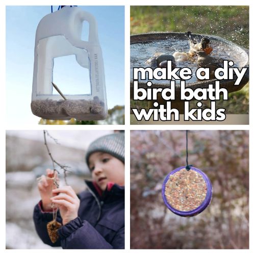 28 Homemade Bird Feeders & Bird Baths for Cold Weather- Help your local backyard birds this season! As natural food sources become scarce in fall and winter, these easy DIY bird feeders and water stations provide essential nutrients and hydration to keep wildlife thriving. Click through for budget-friendly, family-friendly craft ideas to turn your yard into a winter wildlife refuge! | #DIYBirdFeeder #BackyardBirds #BirdWatching #FallCrafts #ACultivatedNest