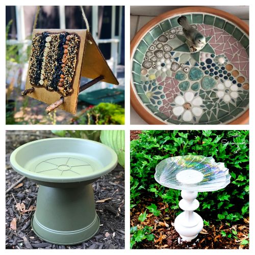 28 Bird Feeders & Bird Bath Crafts for Cold Weather- Help your local backyard birds this season! As natural food sources become scarce in fall and winter, these easy DIY bird feeders and water stations provide essential nutrients and hydration to keep wildlife thriving. Click through for budget-friendly, family-friendly craft ideas to turn your yard into a winter wildlife refuge! | #DIYBirdFeeder #BackyardBirds #BirdWatching #FallCrafts #ACultivatedNest