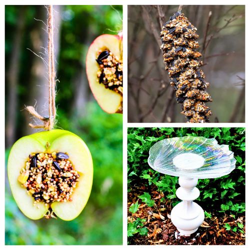 28 DIY Bird Feeders & Baths to Help Wildlife During Cold Months- Help your local backyard birds this season! As natural food sources become scarce in fall and winter, these easy DIY bird feeders and water stations provide essential nutrients and hydration to keep wildlife thriving. Click through for budget-friendly, family-friendly craft ideas to turn your yard into a winter wildlife refuge! | #DIYBirdFeeder #BackyardBirds #BirdWatching #FallCrafts #ACultivatedNest